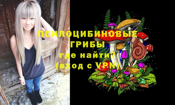 метадон Белокуриха