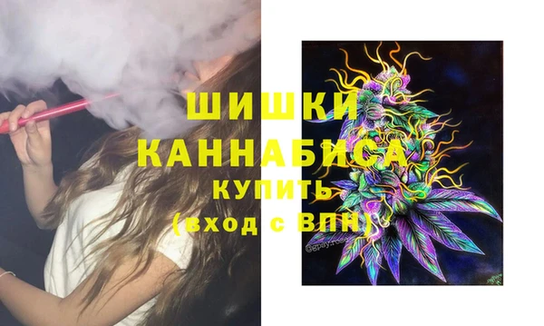 шишки Богданович