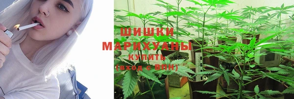 метадон Белокуриха