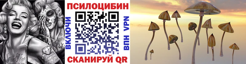 мега зеркало  Вуктыл  Псилоцибиновые грибы мицелий 
